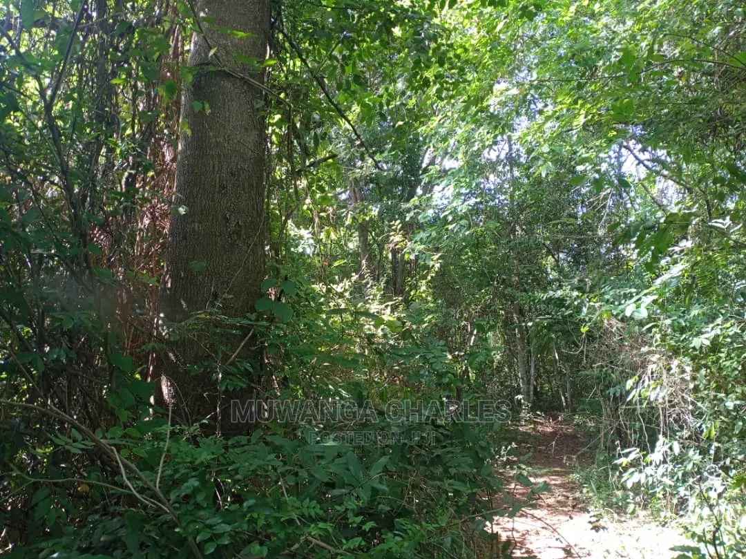 5acres of Land for Sale at Kikyusa in Central Division