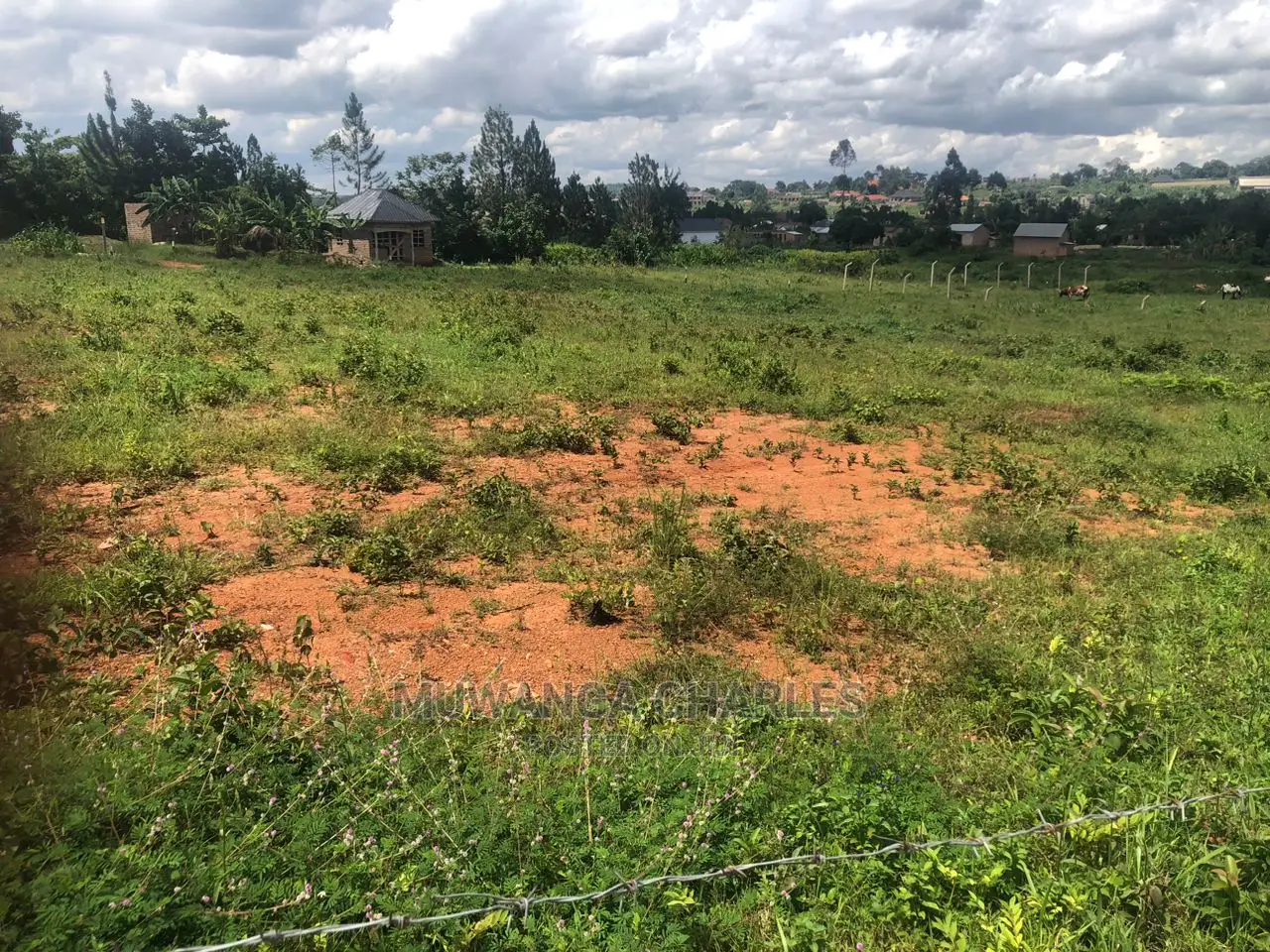 Plot's in Kiwenda for Sale in Central Division