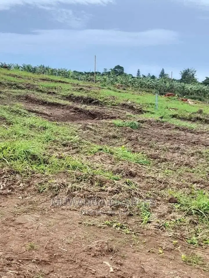 12decimals Plot in Gayaza Busukuma in Central Division