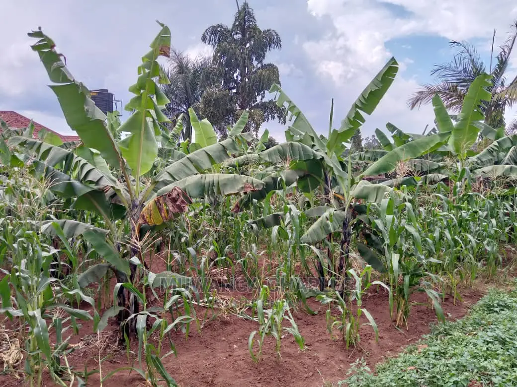 12decimals Plot in Gayaza Busukuma in Central Division