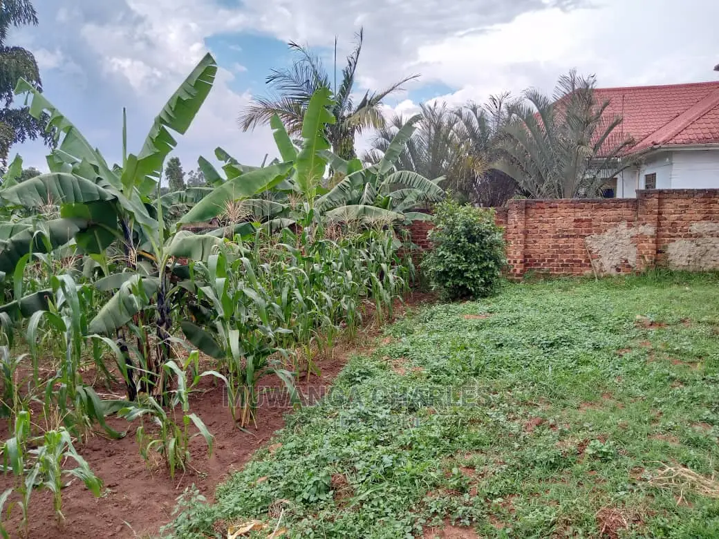 12decimals Plot in Gayaza Busukuma in Central Division