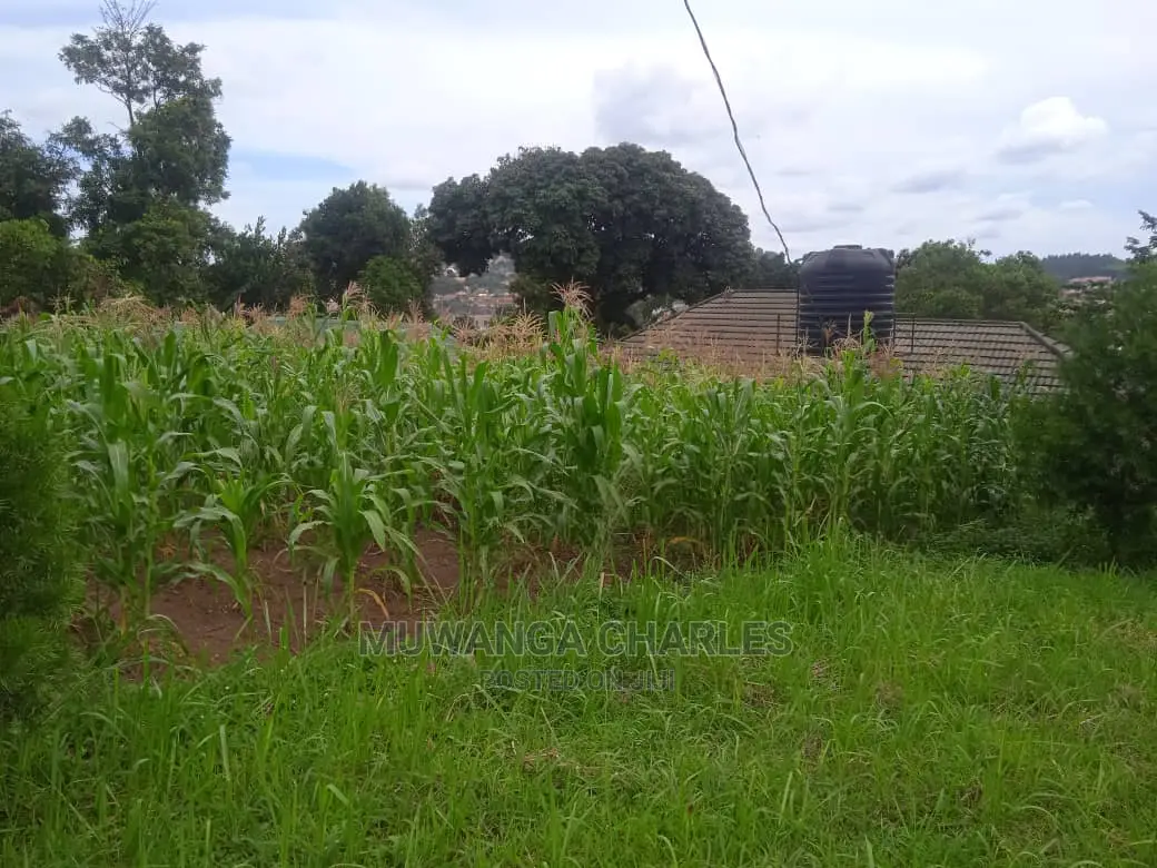 Plots in Gayaza Busika for Sale in Central Division