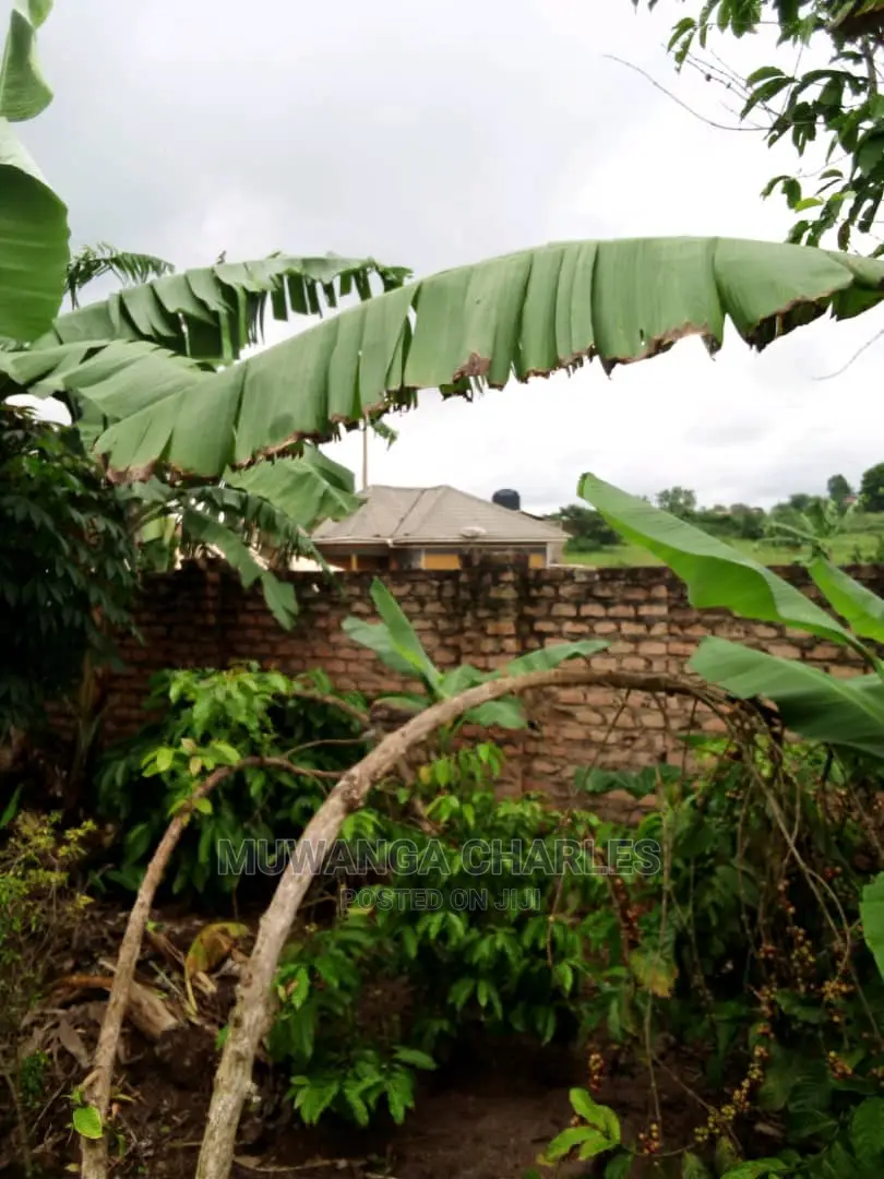 Plots in Gayaza Busika for Sale in Central Division