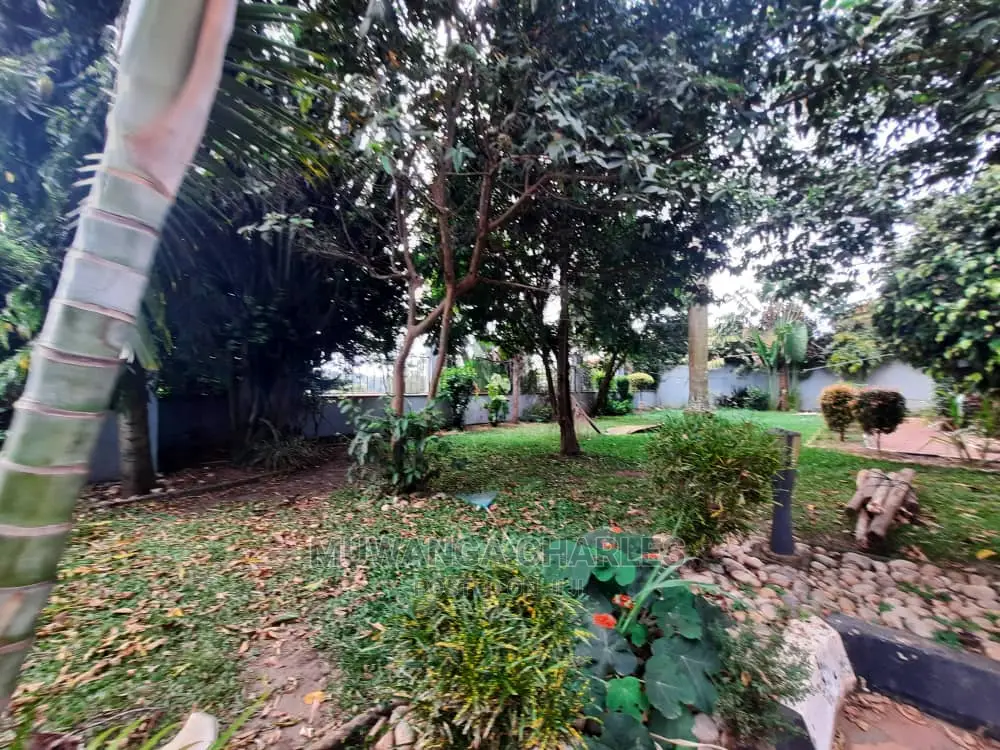 Plots in Buwate for Sale in Central Division