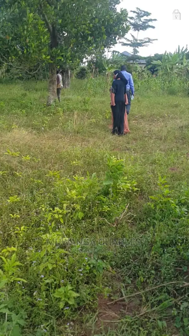 Plots in Buwate for Sale in Central Division