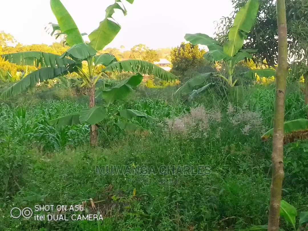 Plots in Gayaza Majigye in Central Division