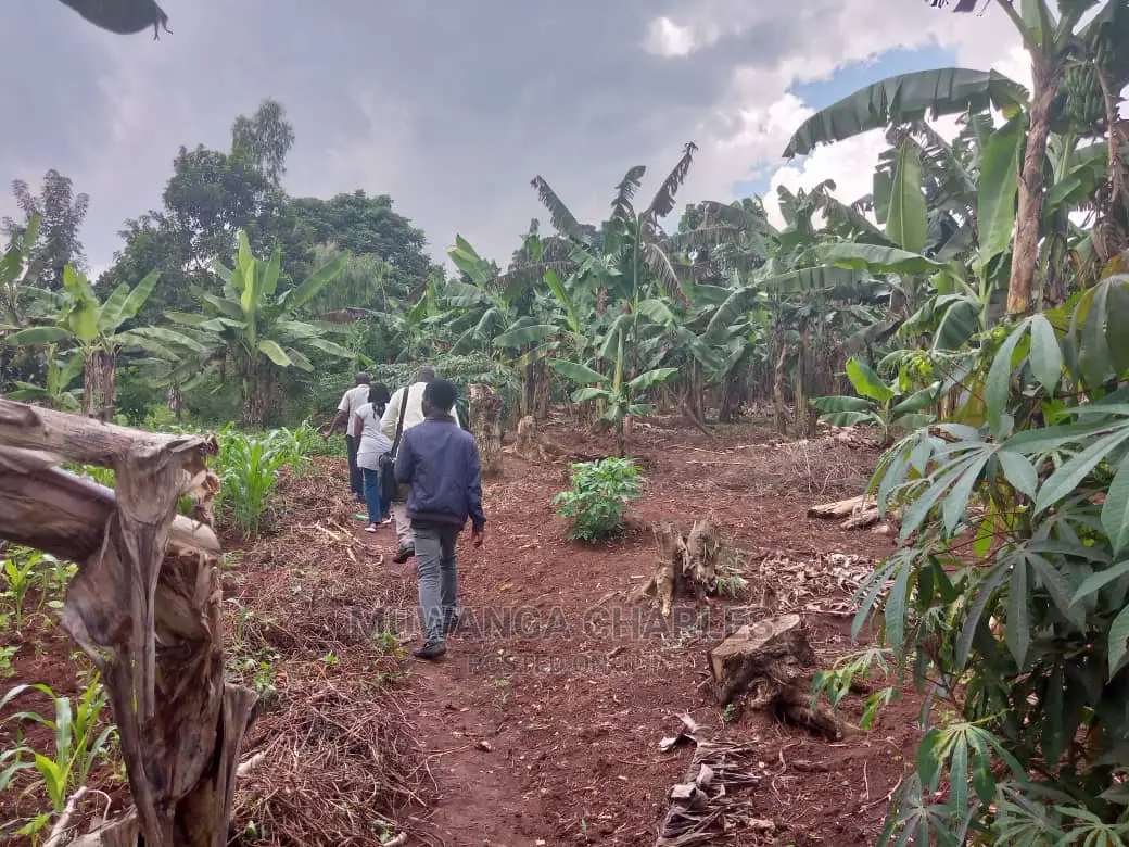 3acres of Land for Sale in Zirobwe Wakatayi in Central Division