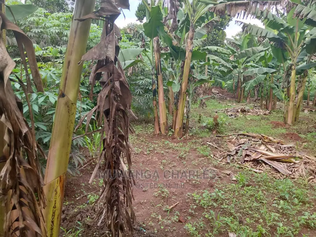 3acres of Land for Sale in Zirobwe Wakatayi in Central Division
