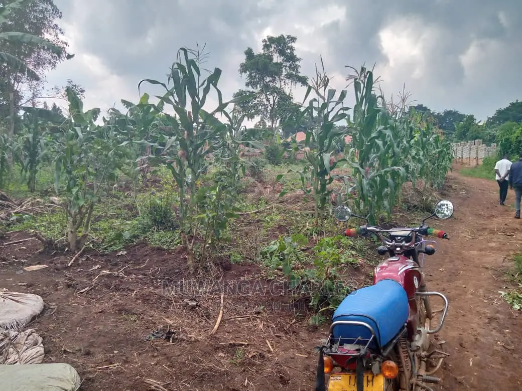 3acres of Land for Sale in Zirobwe Wakatayi in Central Division
