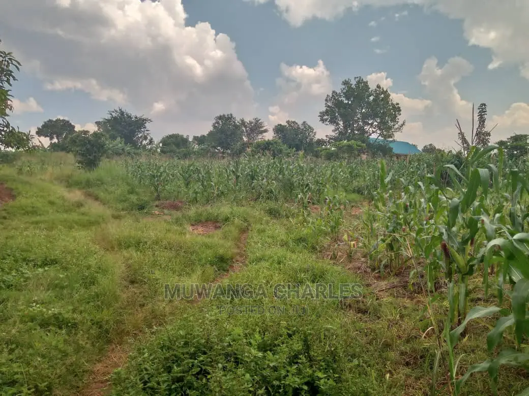 3acres of Land for Sale in Zirobwe Wakatayi in Central Division