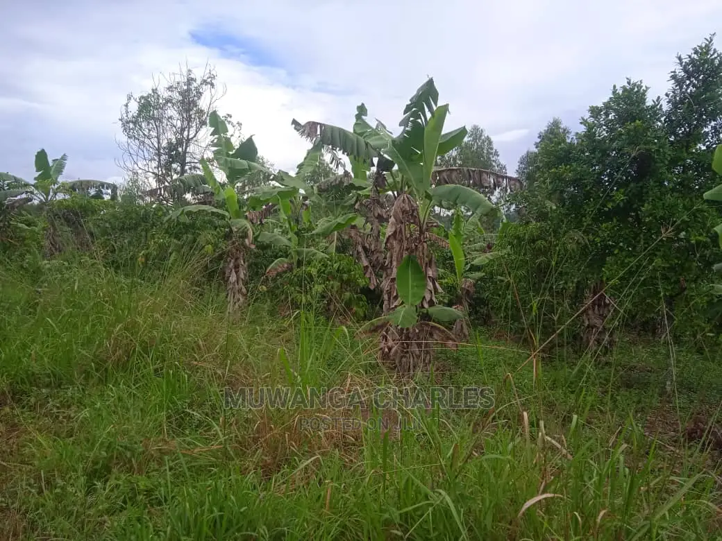 Land for Sale in Luwero Kamira in Central Division