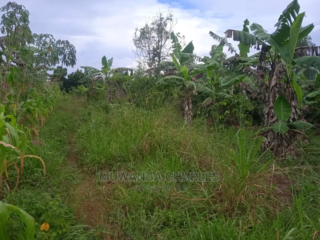 Land for Sale in Luwero Kamira in Central Division