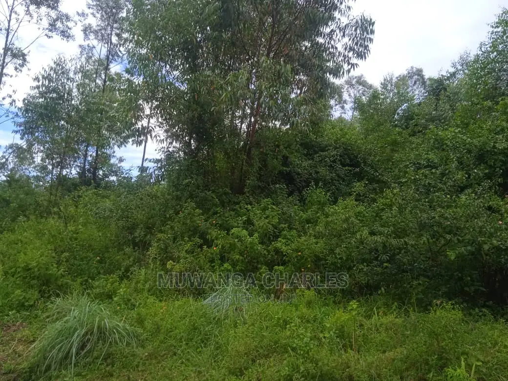 Land for Sale in Luwero Kamira in Central Division