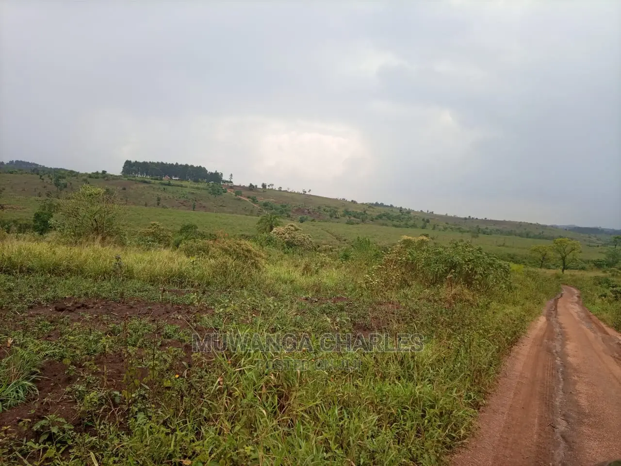 2.5acres of Land for Sale at Namanve in Central Division