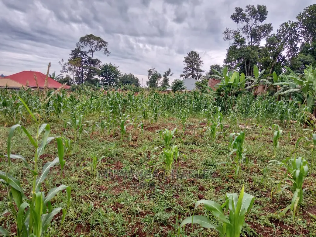 12decimals Plot in Gayaza Kabubu for Sale in Central Division