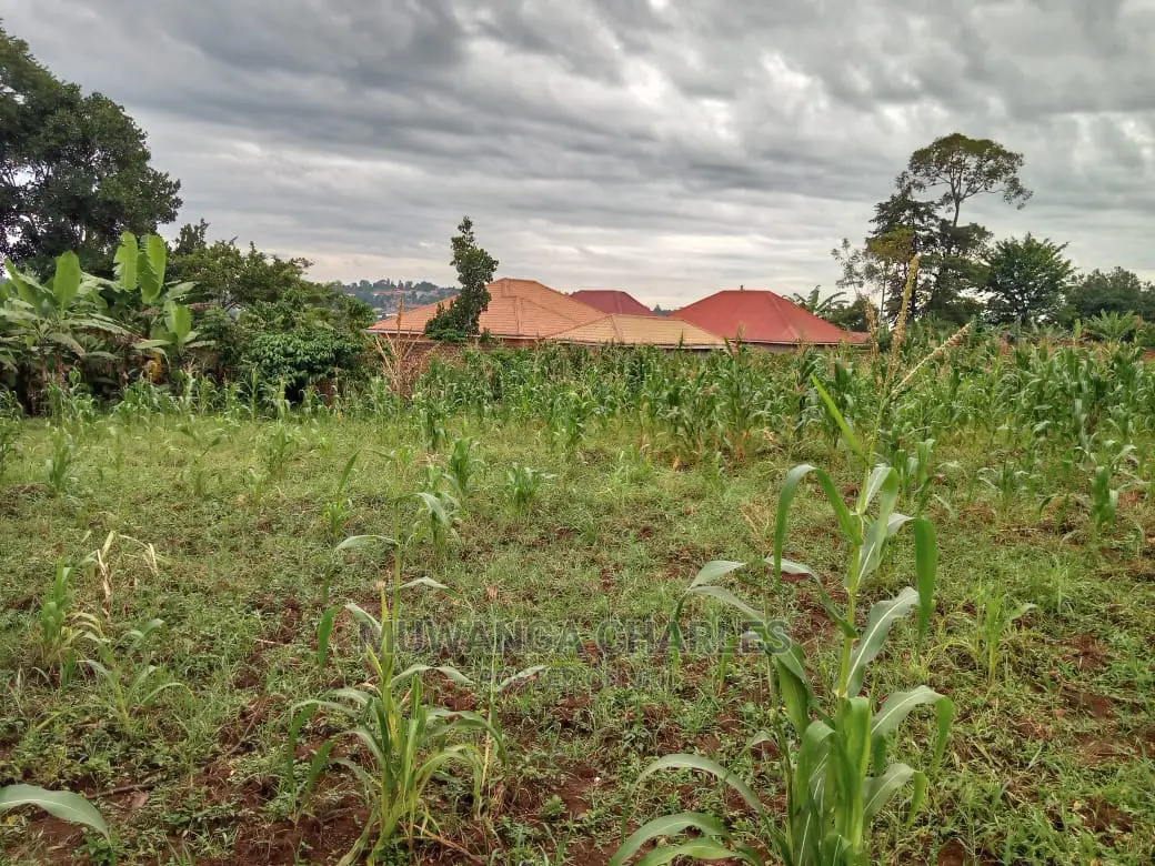 12decimals Plot in Gayaza Kabubu for Sale in Central Division