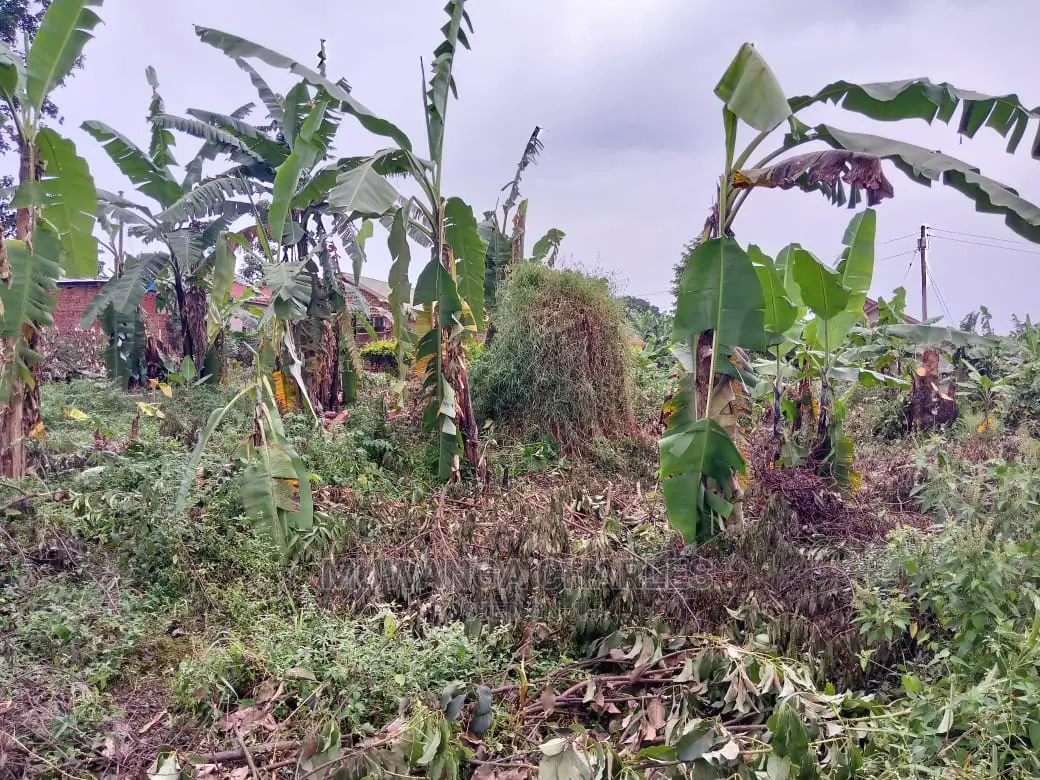 12decimals Plot in Gayaza Kabubu for Sale in Central Division