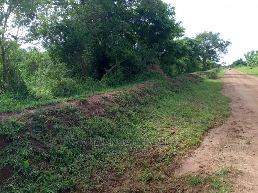 55acres of Land for Sale at Luwero Kabunyata in Central Division