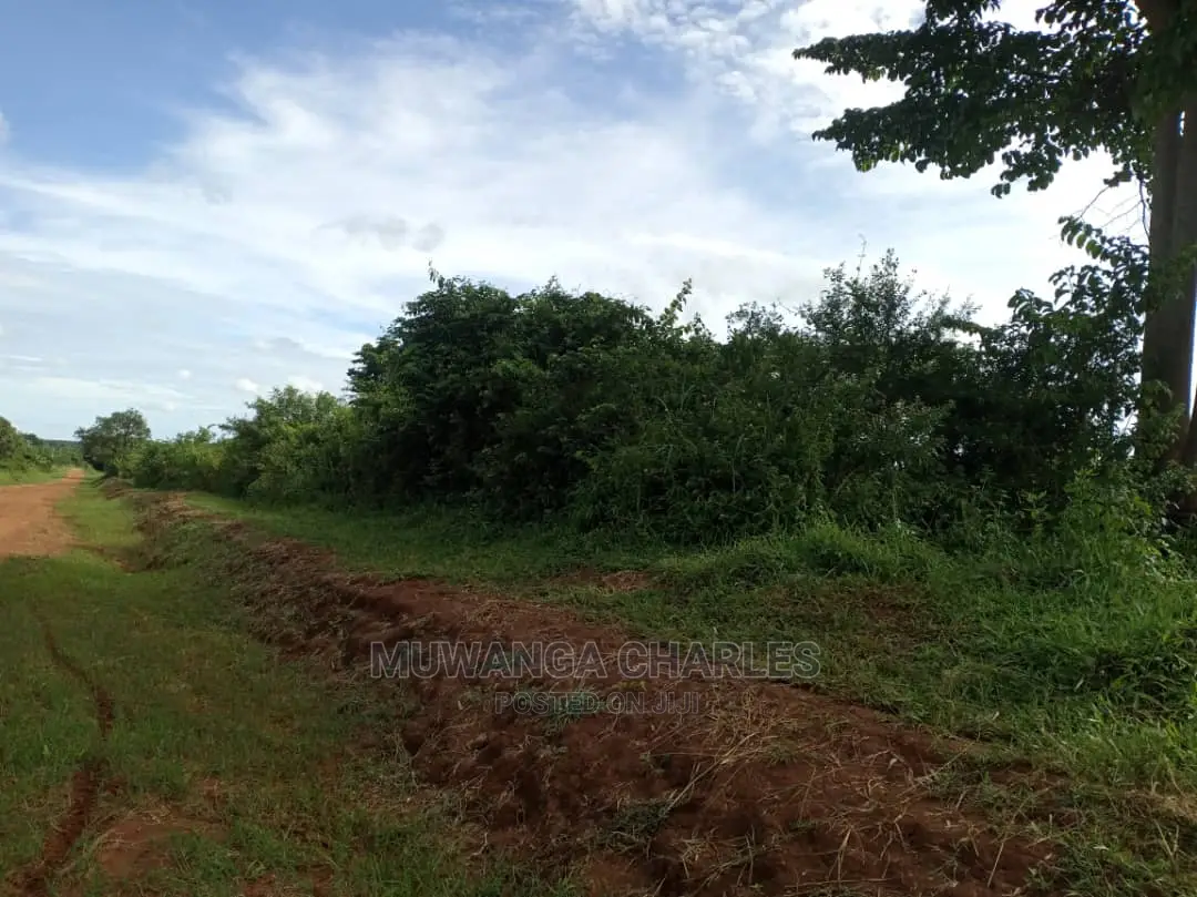 55acres of Land for Sale at Luwero Kabunyata in Central Division