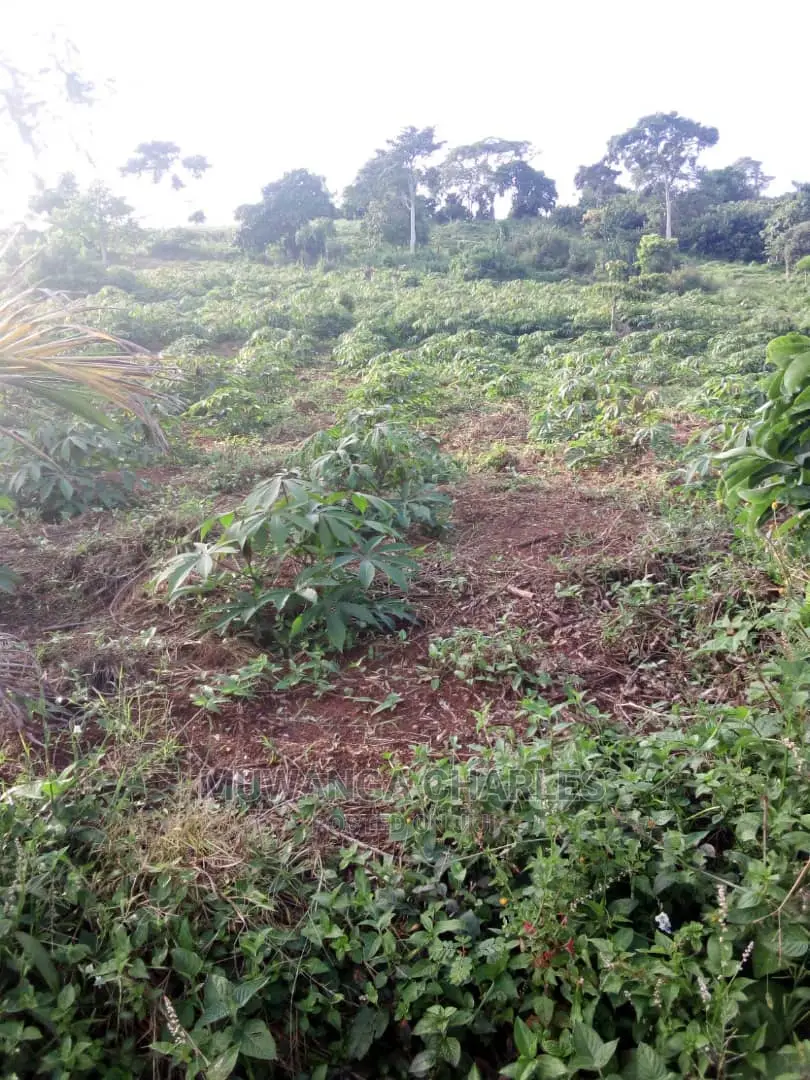 Plots in Kira Kimwanyi in Central Division
