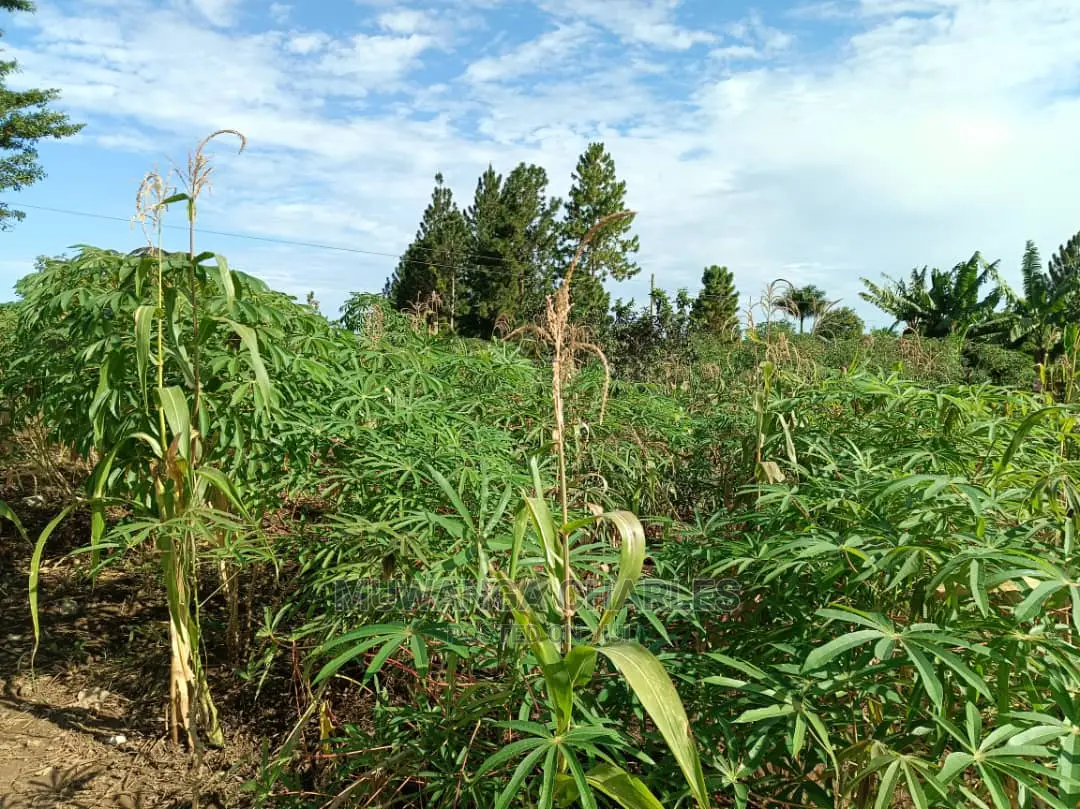 Plots in Gayaza for Sale in Central Division