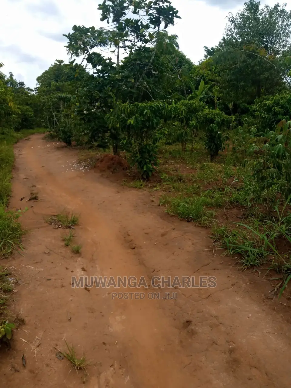 4acres of Land for Sale Zirobwe Tongo in Central Division