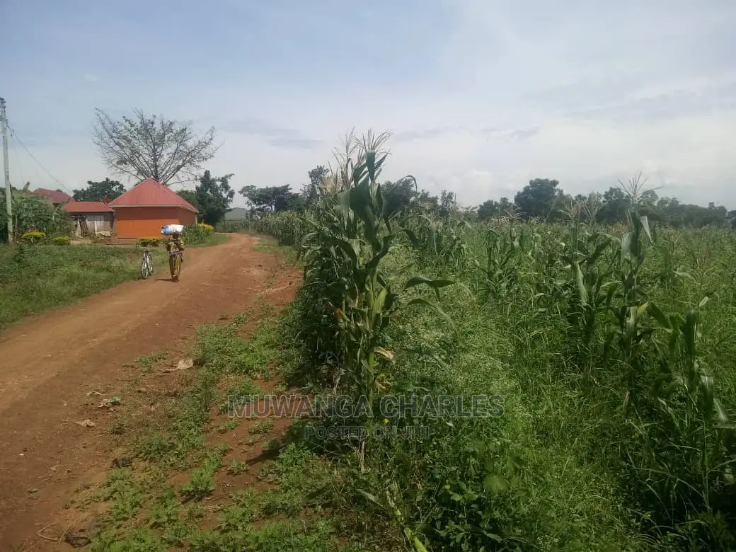 4acres of Land for Sale Zirobwe Tongo in Central Division