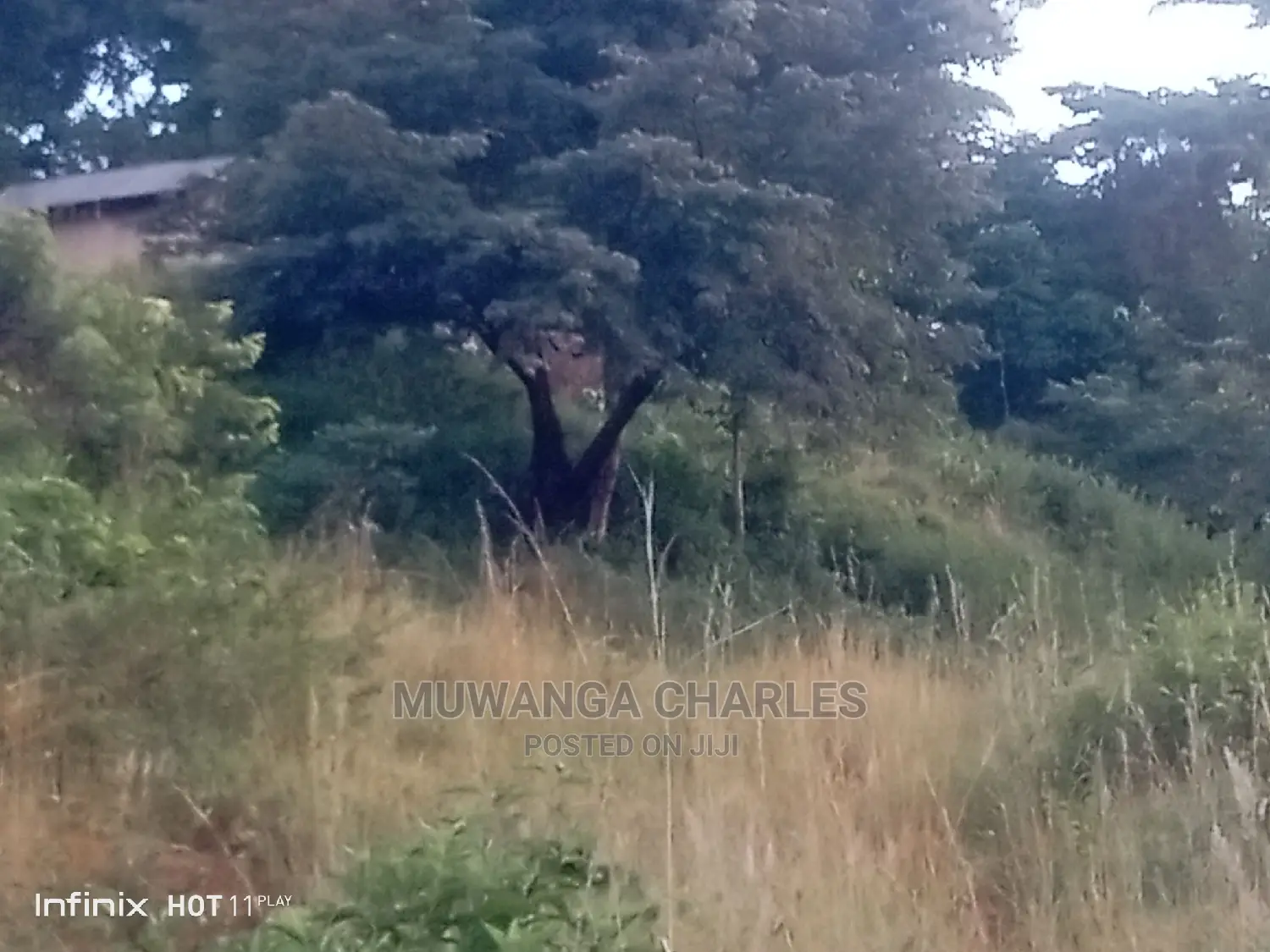 4acres of Land for Sale Zirobwe Tongo in Central Division