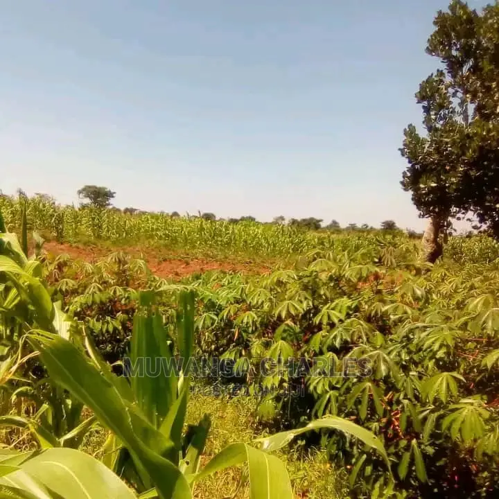 Plot's in Gayaza Kijabijo in Central Division