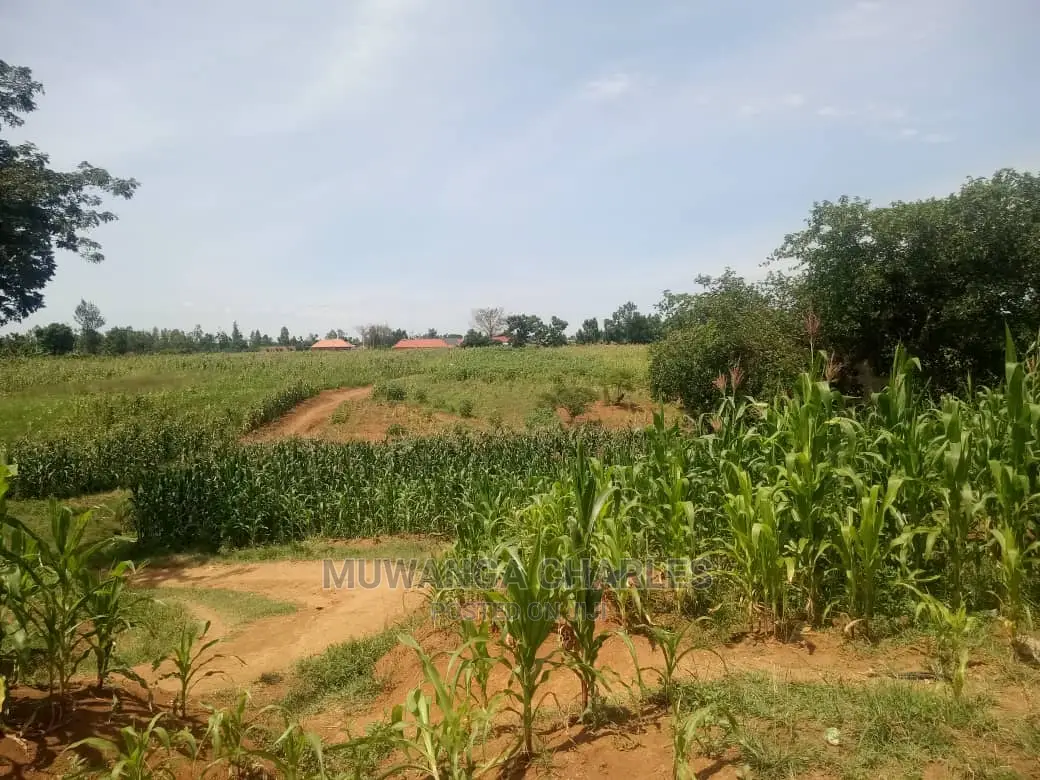 Plot's in Gayaza Kijabijo in Central Division