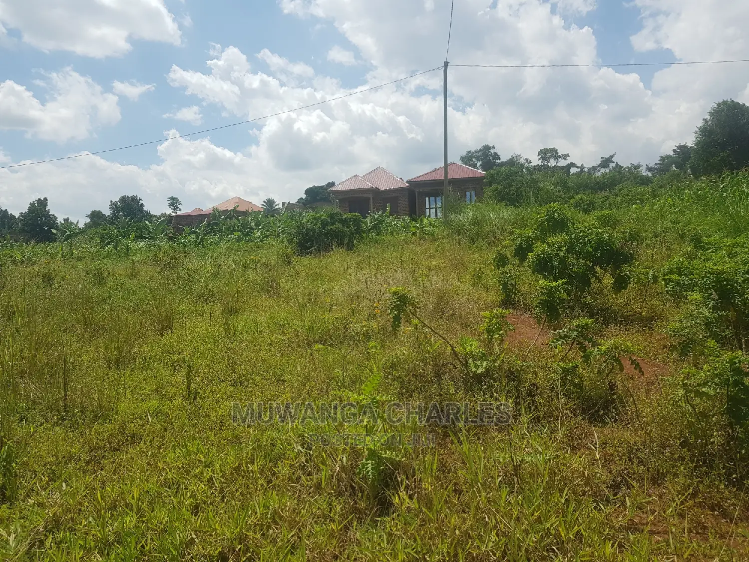 Plots in Kira for Sale in Central Division