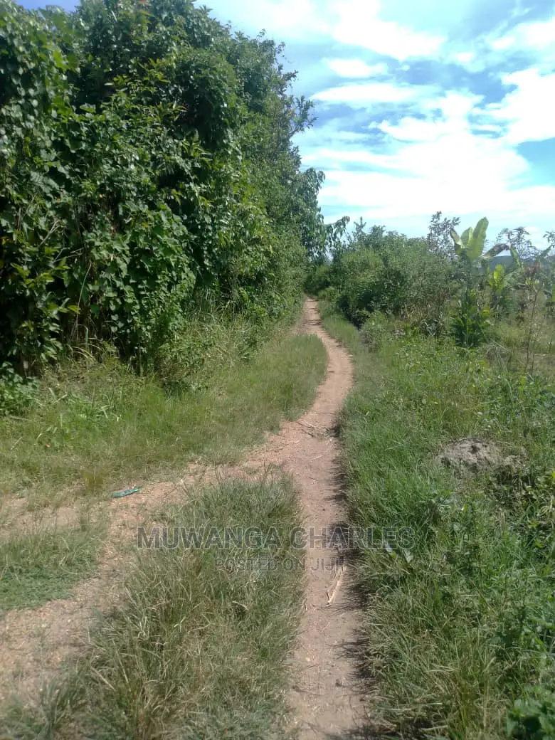 3acres of Land for Sale in Wabutungulu in Luwero / Luwero