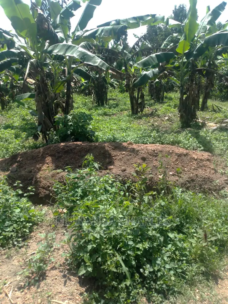 3acres of Land for Sale in Wabutungulu in Luwero / Luwero