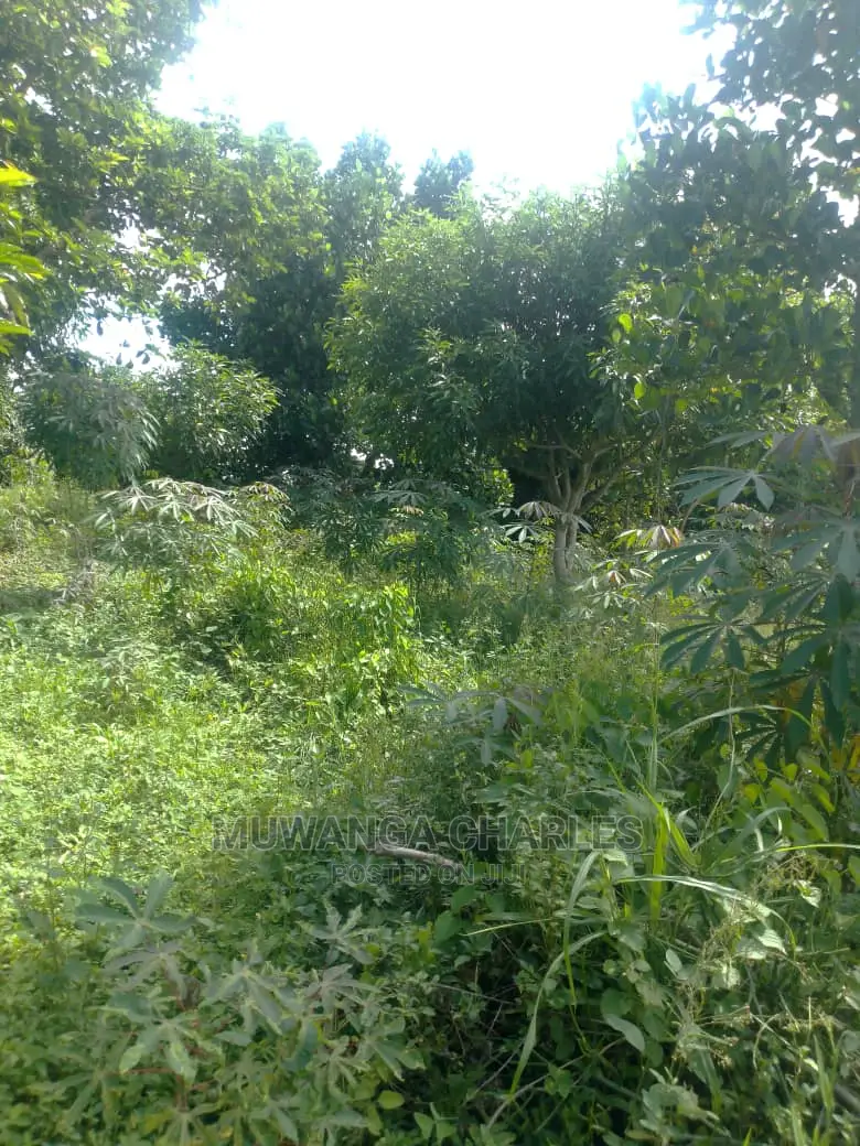3acres of Land for Sale in Wabutungulu in Luwero / Luwero