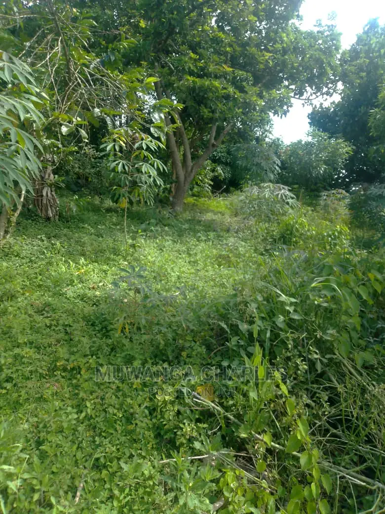 3acres of Land for Sale in Wabutungulu in Luwero / Luwero