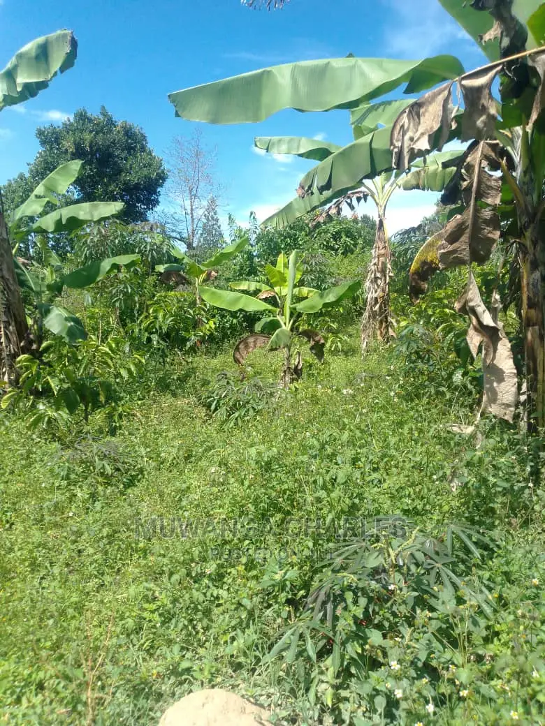 3acres of Land for Sale in Wabutungulu in Luwero / Luwero