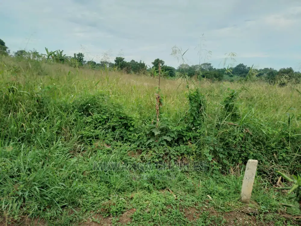 100acres for Sale in Luwero in Central Division