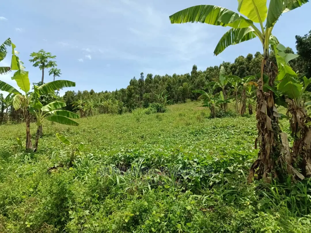 100acres for Sale in Luwero in Central Division
