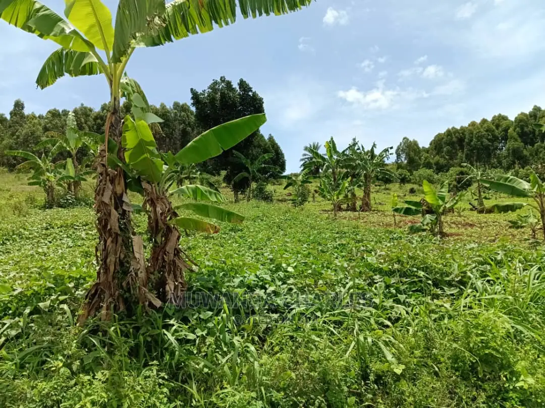 100acres for Sale in Luwero in Central Division