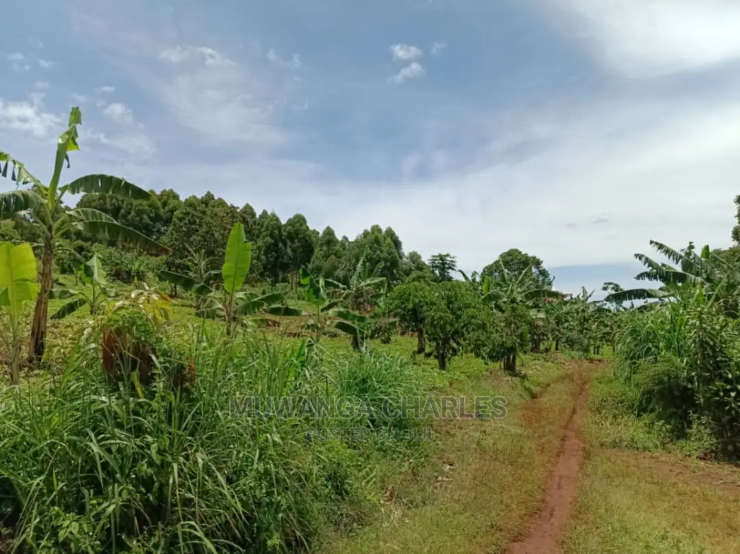 100acres for Sale in Luwero in Central Division