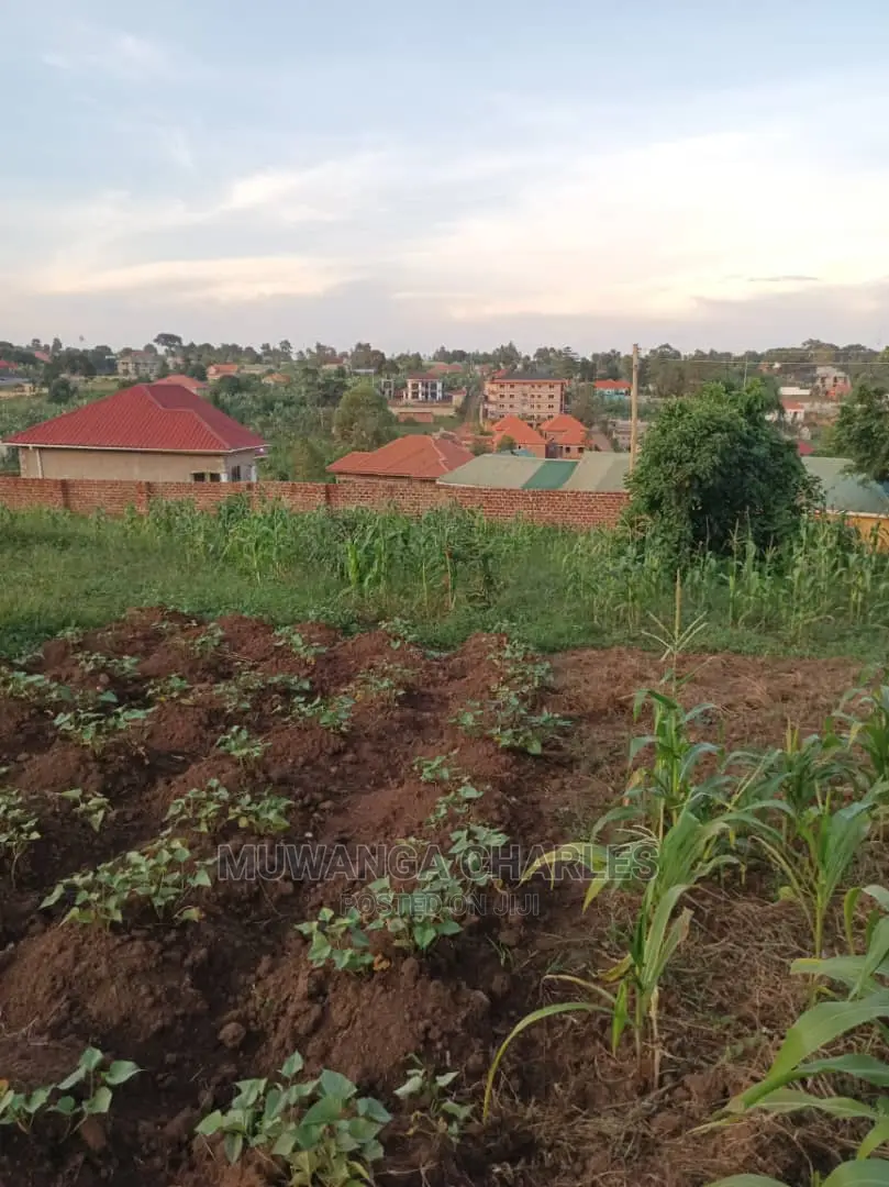 Plot's in Gayaza Kabubu in Central Division