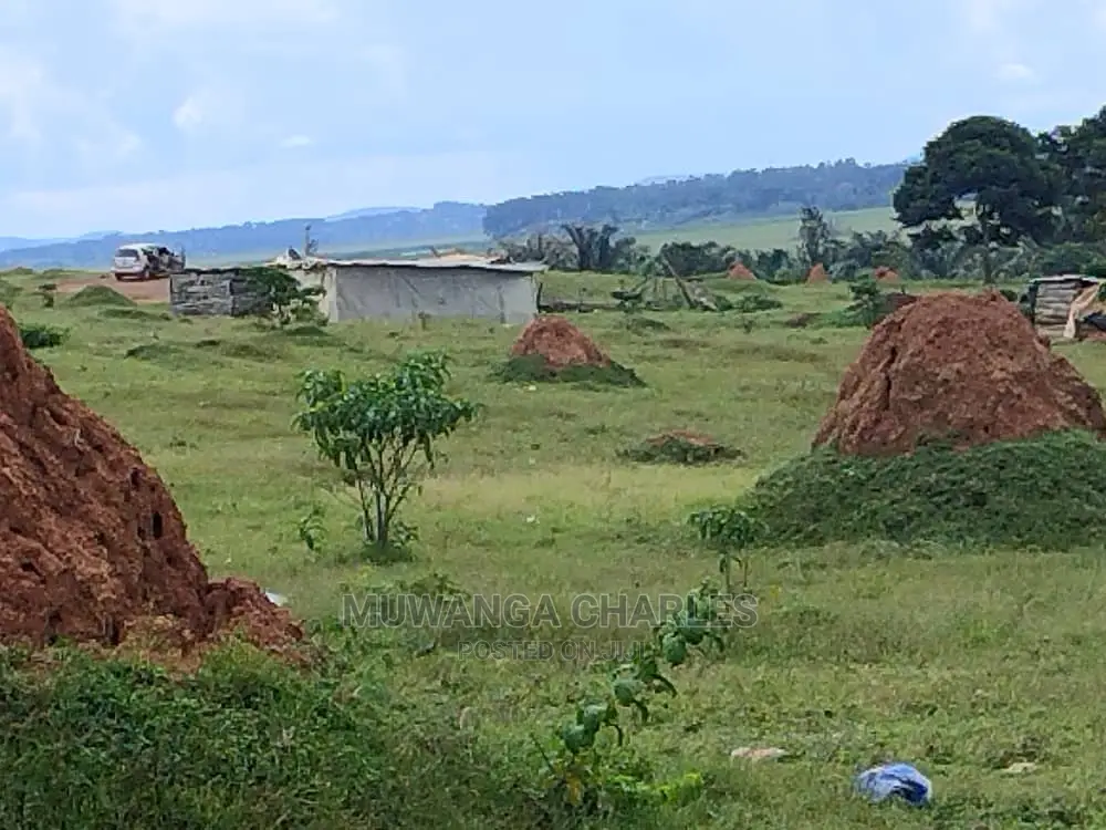 Plots in Gayaza Nakwero for Sale in Central Division