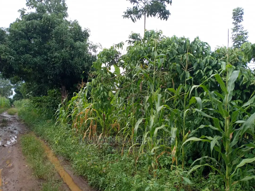 Land in Zirobwe for Sale in Central Division