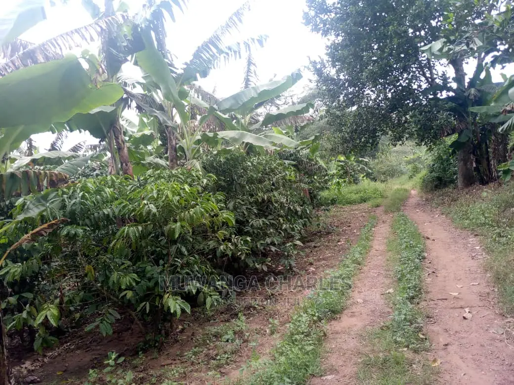 Land in Zirobwe for Sale in Central Division