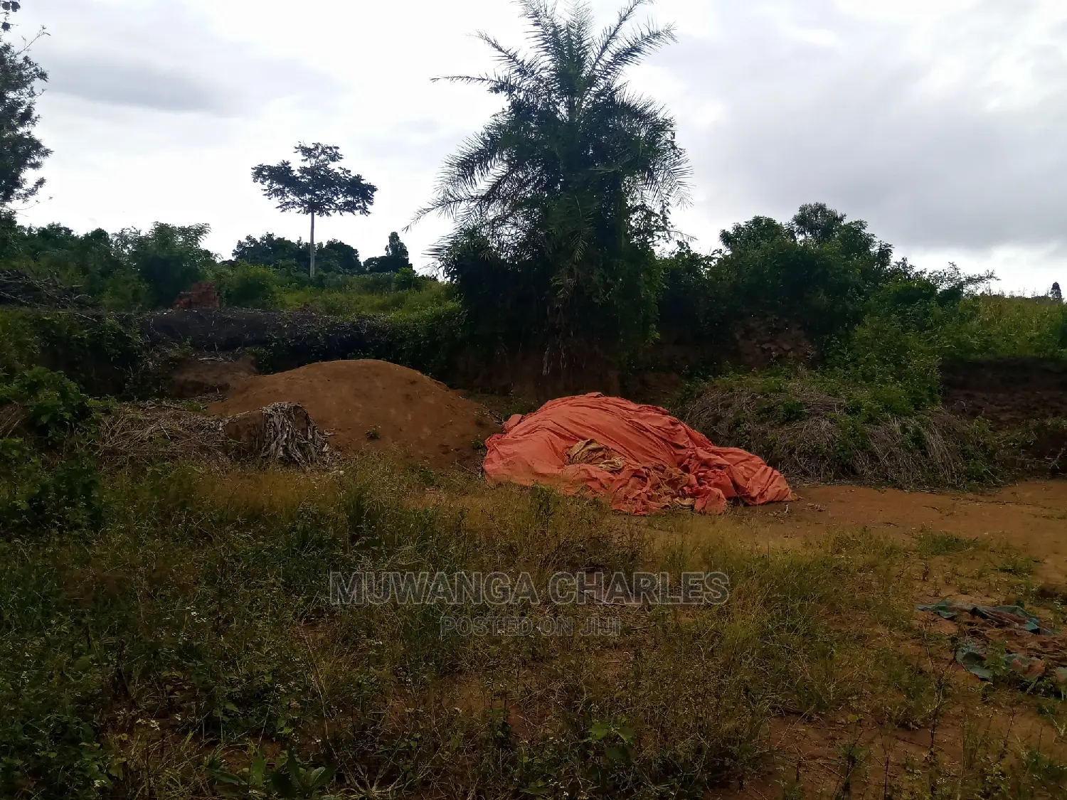 Hot Deal 3acres in Kikyusa on Quick Sale in Central Division