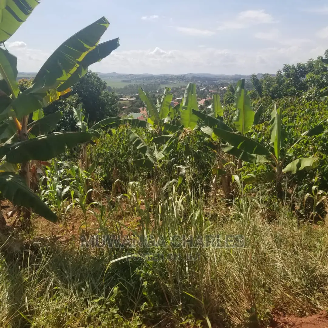 12decimals Plot of Land on Quick Sale at Kira in Central Division