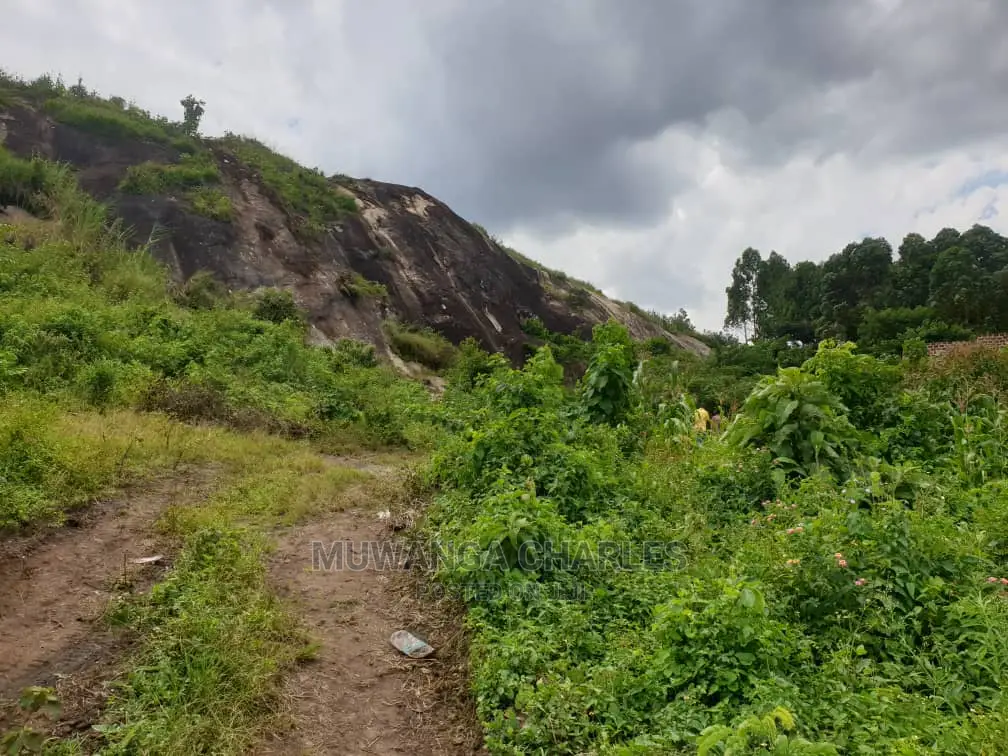 Stone 🪨 Quarry in Mukono on Quick Sale in Central Division