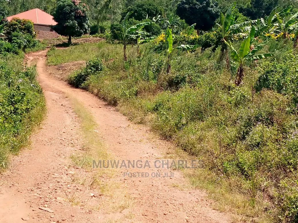 Plot's in Busiika on Quick Sale in Central Division