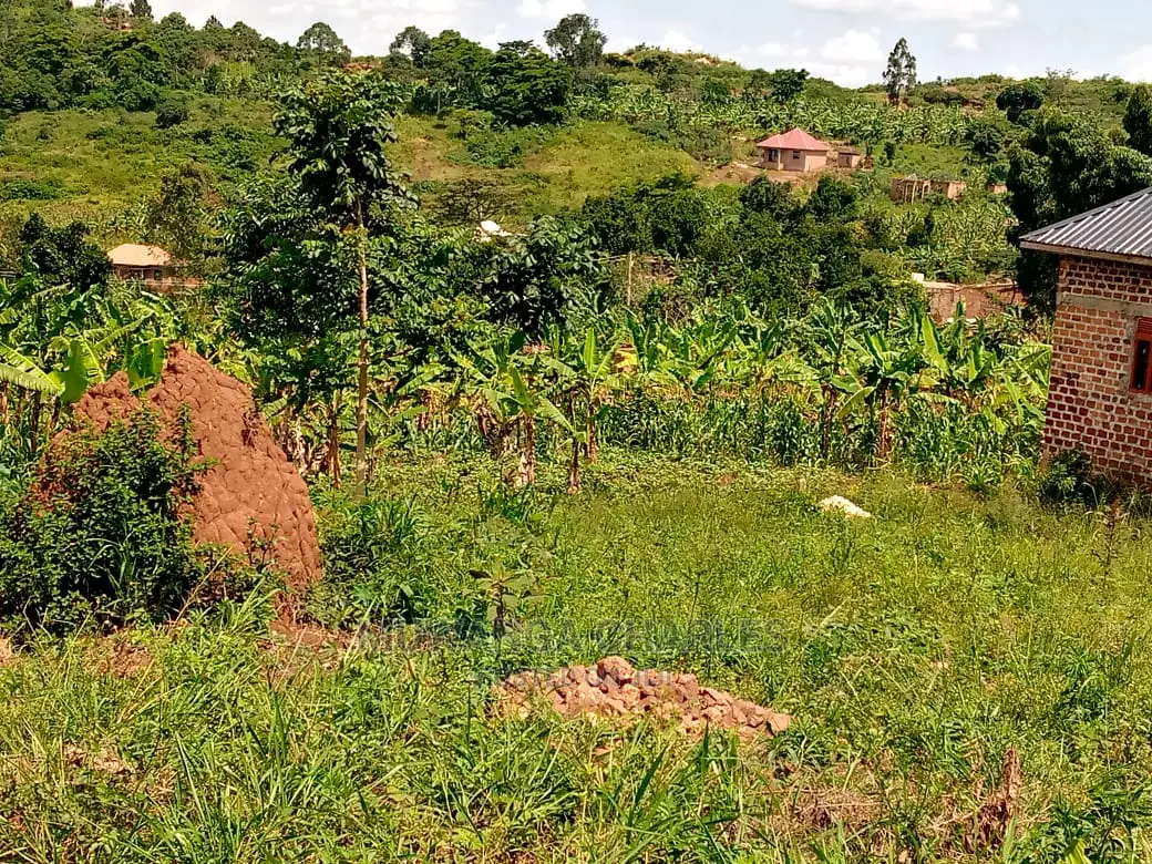 Plot's in Busiika on Quick Sale in Central Division