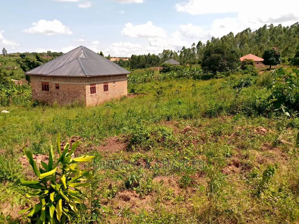Plot's in Busiika on Quick Sale in Central Division